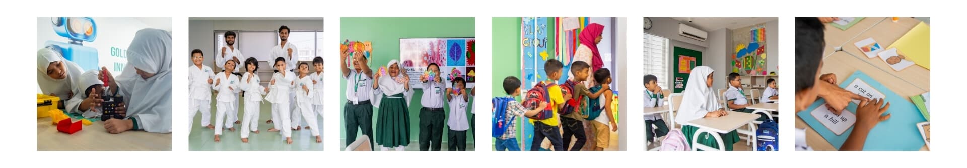 About GBIS_Cover Photo